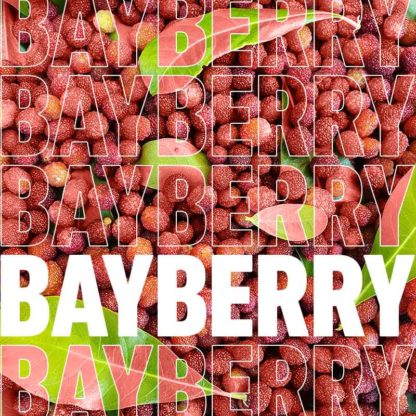 Bayberry - Candle and Soap Fragrances Perfume