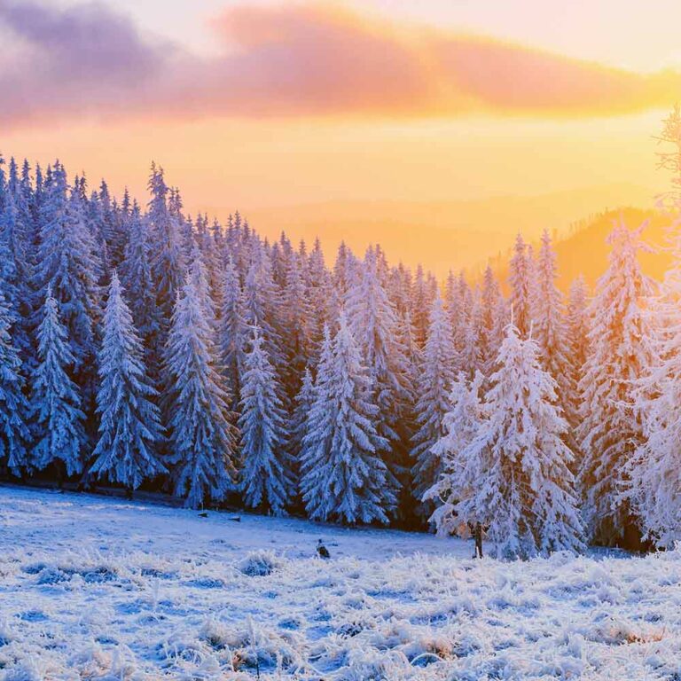 Holiday Frost - Candlewic: Candle Making Supplies Since 1972