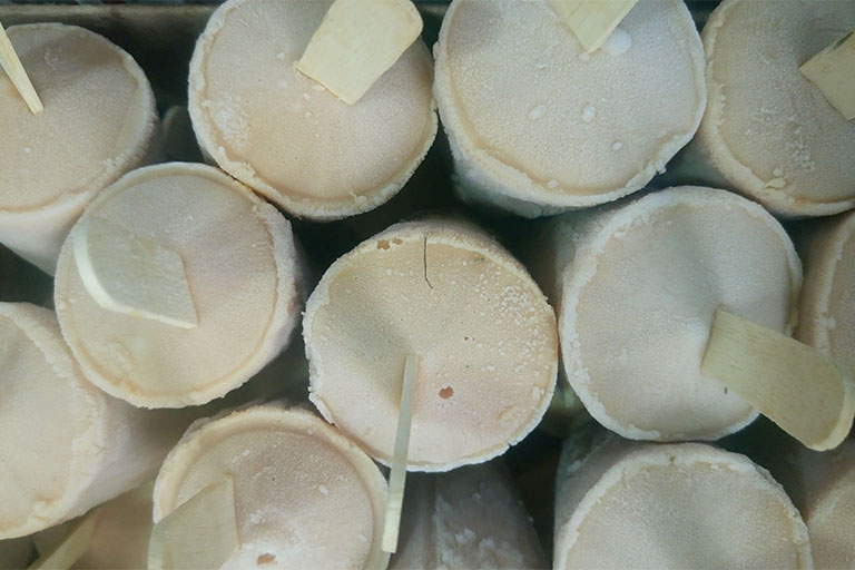 Best Wax for Beginners: Soy vs Paraffin